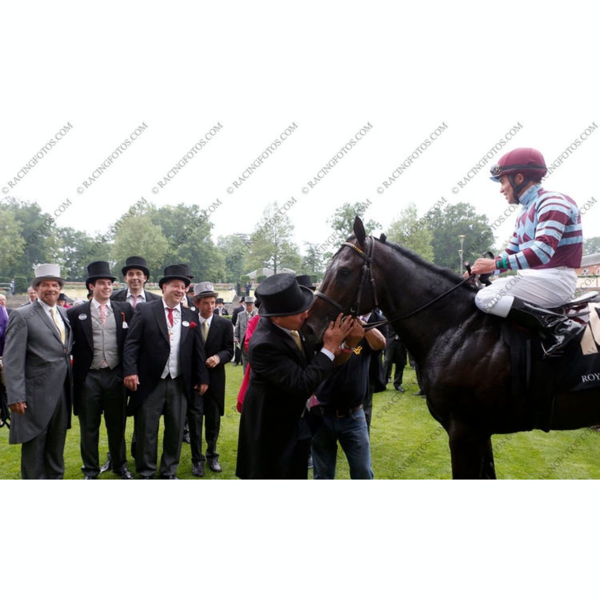 PhilAntonacci's tweet photo. Congratulations to David Reid on a truly well-deserved induction into the Harness Racing Hall of Fame tonight in Goshen, New York.

From a kid growing up on a dairy farm in Argyle, New York, to building Preferred Equine into the gold standard of the bloodstock business—selling more than 29,000 horses for over $800 million—David's career is a testament to hard work, integrity, and humility. His fingerprints are on so many of the sport's greatest moments, from Moni Maker and No Nay Never to the Lexington Selected Yearling Sale and countless horses and horsemen whose careers he's helped shape.

On a personal note, David has been one of the greatest mentors I've ever had. The lessons he's taught me about horses, business, leadership, and treating people the right way have had a lasting impact on my life and career.

No one is more deserving of this honor. Congratulations, David—thank you for everything, and enjoy your special day.

https://t.co/Kn1ZxVIc0I