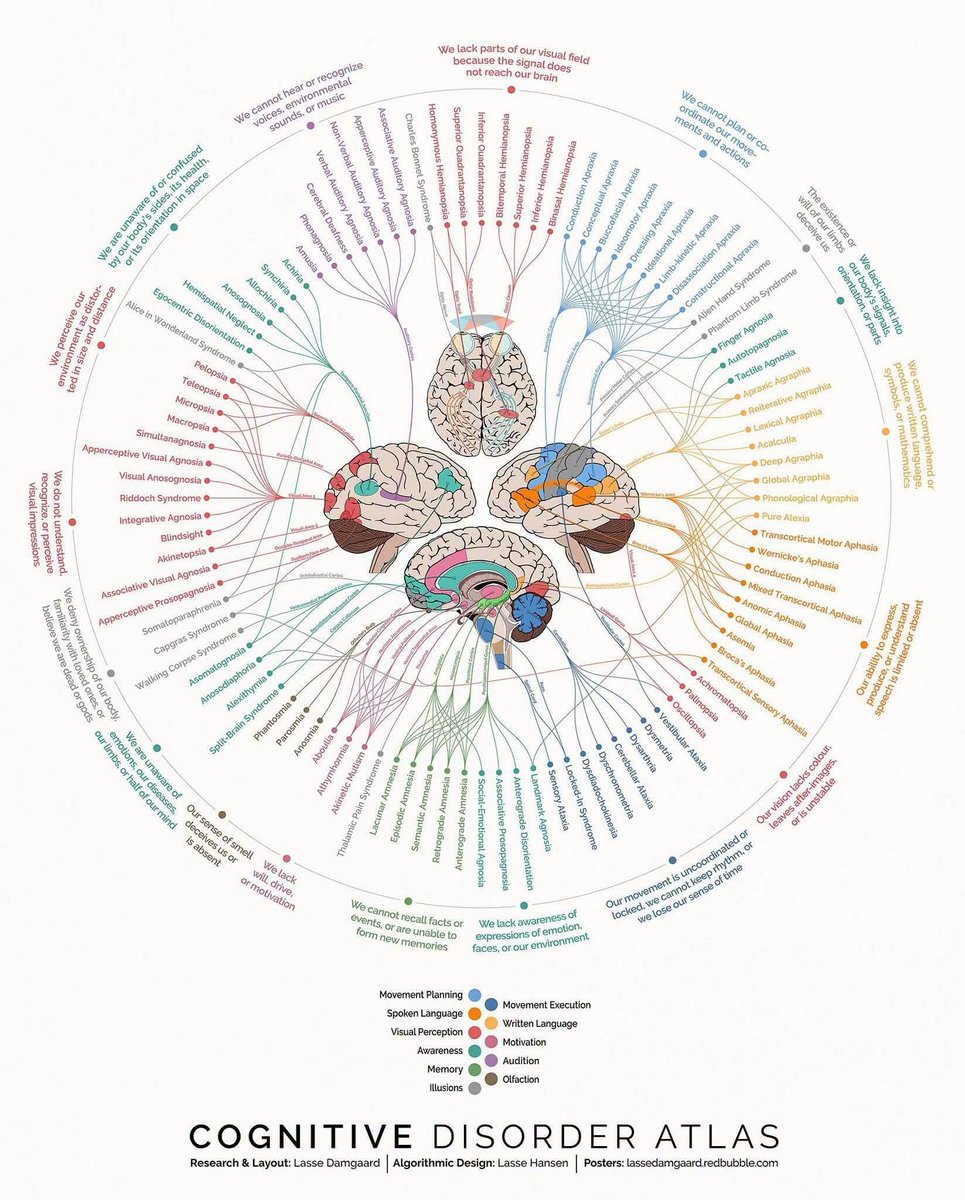 RebolledaGil's tweet photo. Atlas de los trastornos neurocognitivos 👇👇👇👇👇 https://t.co/qbku7tpf5Z