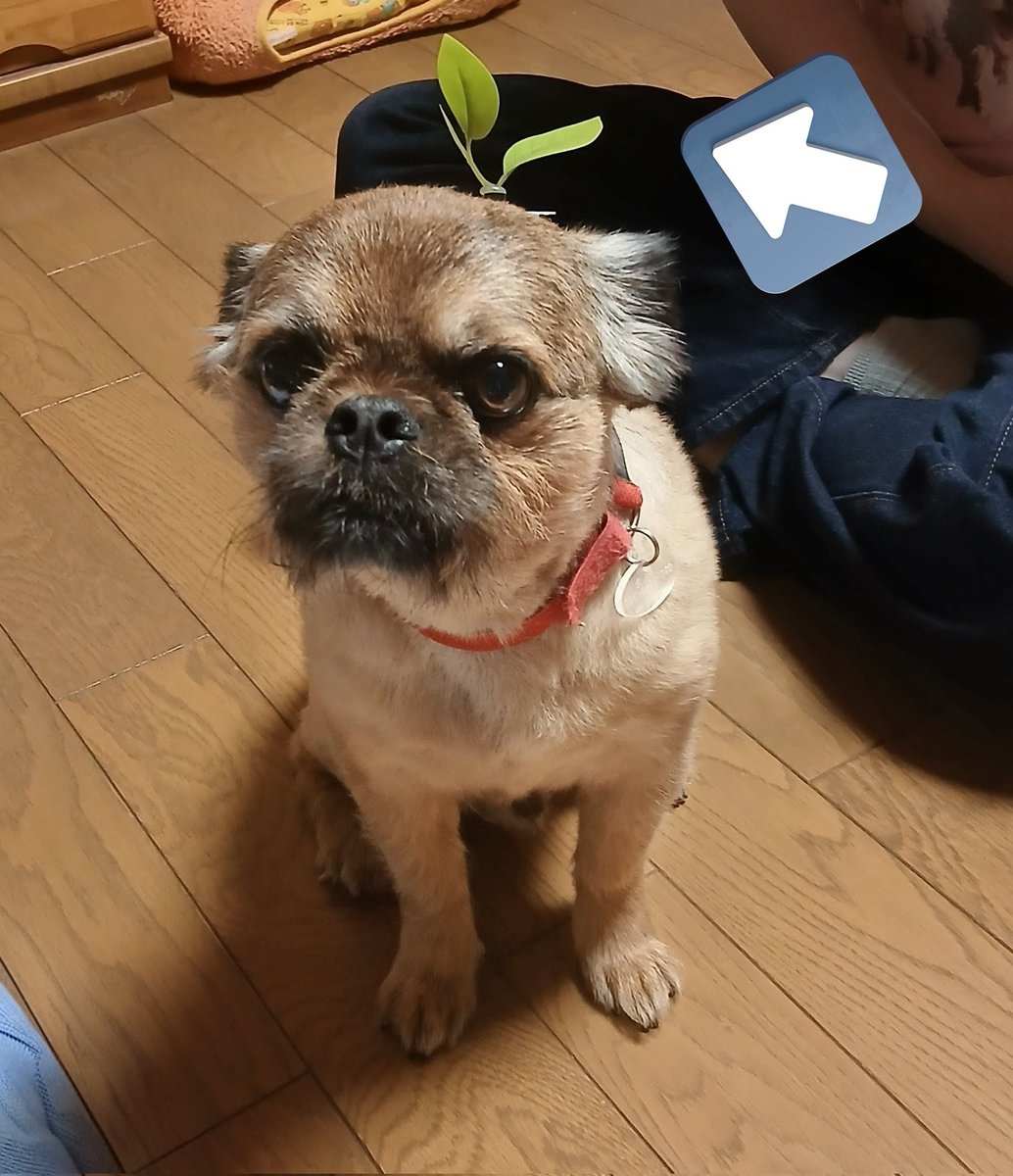 fffffumie's tweet photo. 草生えた🌱オレ https://t.co/KOiAcSrwyZ