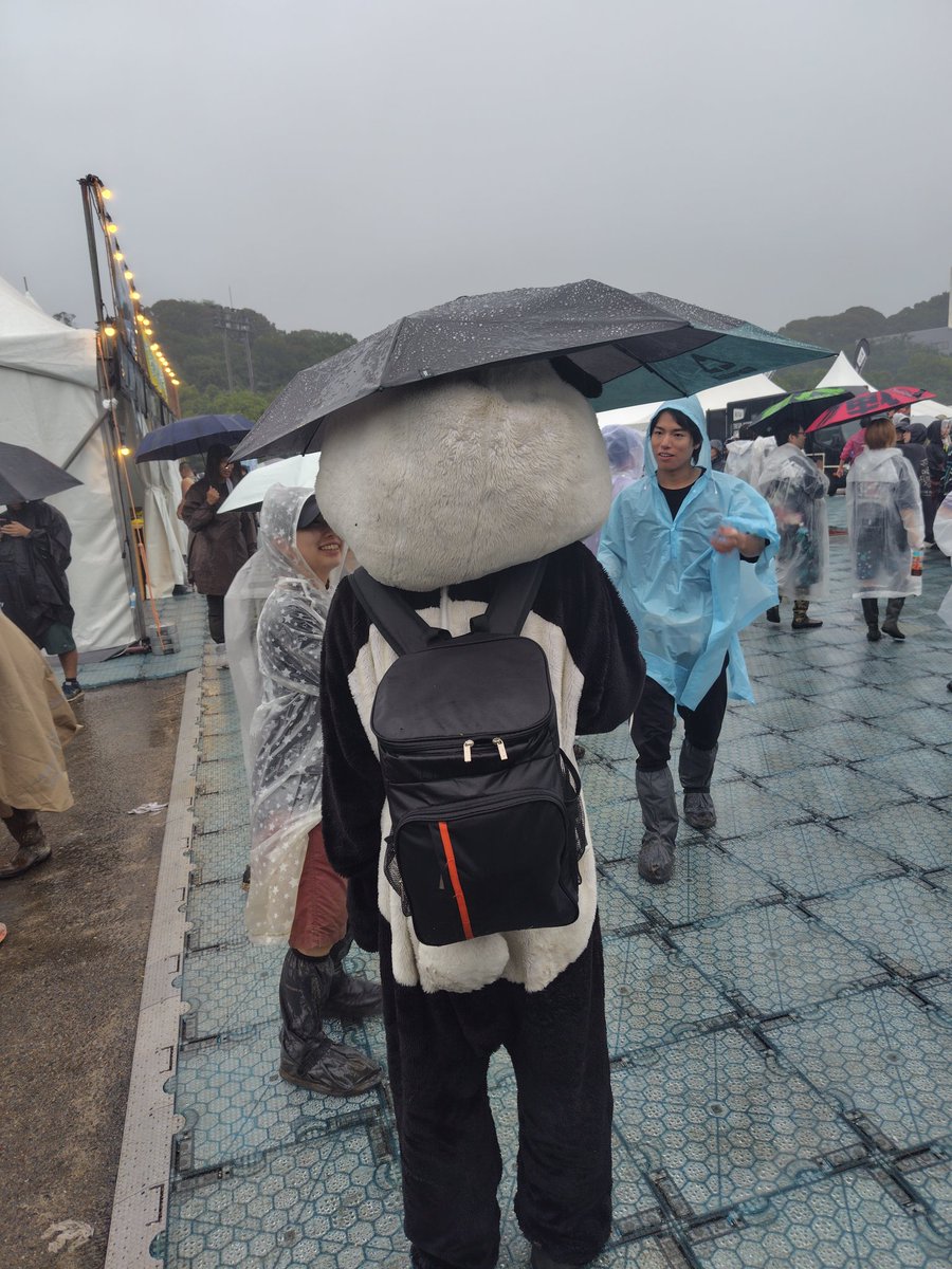0910_80's tweet photo. 京都大作戦2026
終わってしまった…2日ともに雨模様で体力も消耗した。いろんなバンドのライブを見て最後に10-FEETで全部がハイライト…どしゃ降りで田植えでボトボトでも良い思い出になりました。来年も絶対行くぞ！ https://t.co/SYszQSkIFd