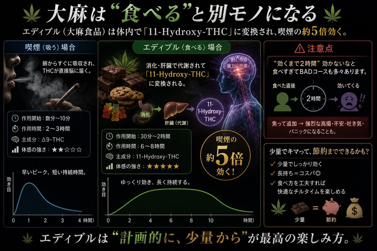 PIQUEBudsBrain's tweet photo. 🌿大麻は“食べる”と別モノになる🌿
エディブル（大麻食品）は体内で「11-Hydroxy-THC」に変換され、喫煙の約5倍効く。

しかも作用時間まで6〜8時間と長持ち
注意点は“効くまで2時間”効かないなと食べすぎてBADコースも多々あります。
少量でキマって、節約までできるかも？ https://t.co/ydw8ILwC3c