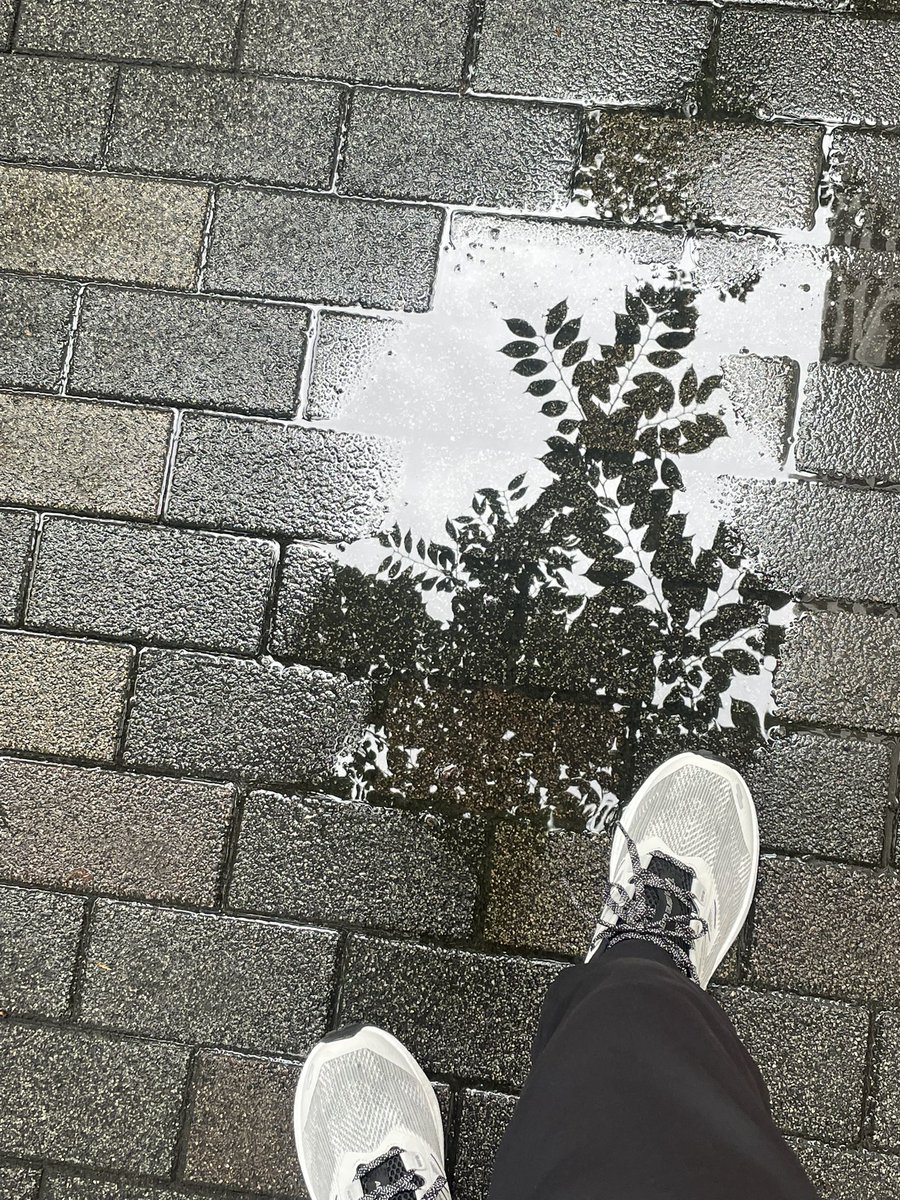 _hdigabtt_'s tweet photo. 未来から「走る」を手渡されたので、ランニング🏃‍♀️‍➡️
久しぶりだったけど、以前より身体が軽く感じた。これは食生活を変えたことのフィードバック🌿
未来を行く人からのアドバイスは「考えるより、体を動かす」 https://t.co/i8XUOLczZj