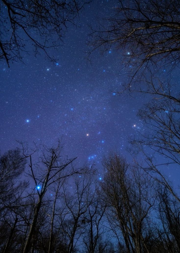 quarks2_quasars's tweet photo. The cosmos feels closer in the dark 🤌 https://t.co/f0fqZfwKSy