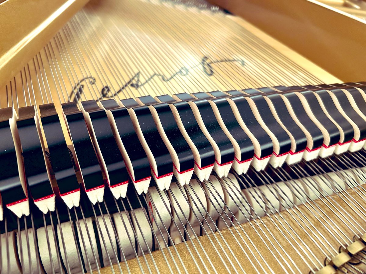 pianoprep2013's tweet photo. 調律だけではなく白鍵を凹凸なく一枚板のように均し、アクション動作を揃えることで演奏者との一体感を作り、ハンマーフェルトに専用ピッカーで針を入れて各音の粒立ちを揃えるなど、さらに上質な音楽を目指して緻密に作業…
弾き手と聴き手、双方を意識しながらコンサート仕事に臨んでいます😌 https://t.co/9XJ4kdtE6s