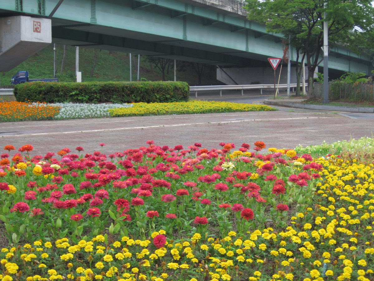 kugocam's tweet photo. https://t.co/V5H51BB92N