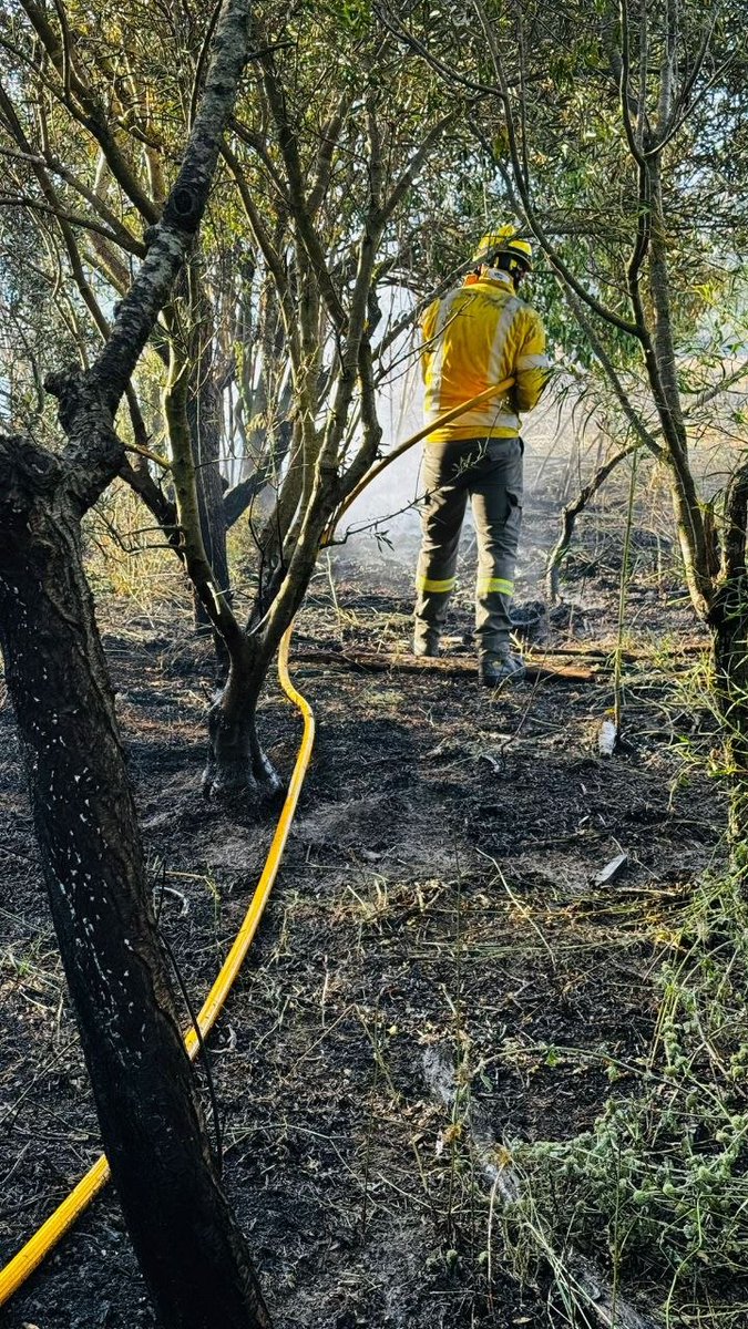 sfadfcat's tweet photo. 🚒 Més de 400 voluntaris i 190 vehicles desplegats arreu del territori fan tasques de vigilància i intervenció en incendis forestals.

📍 Actualment treballem en 16 incendis. Paral·lelament, també col·laborem en el dispositiu preventiu amb motiu del @LeTour. #TDF2026

Gràcies a totes les persones voluntàries pel seu compromís i dedicació. 💛

#adfcat #incedis #somADF #somterritori