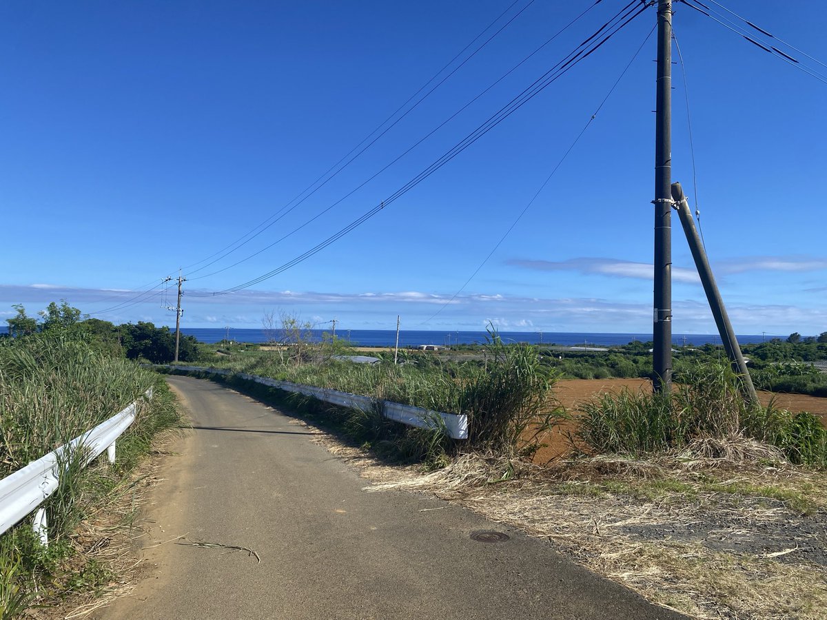 goritabi's tweet photo. 梅雨明けて気持ちいい暑い🏃‍➡️ https://t.co/5F6vYDl6dG