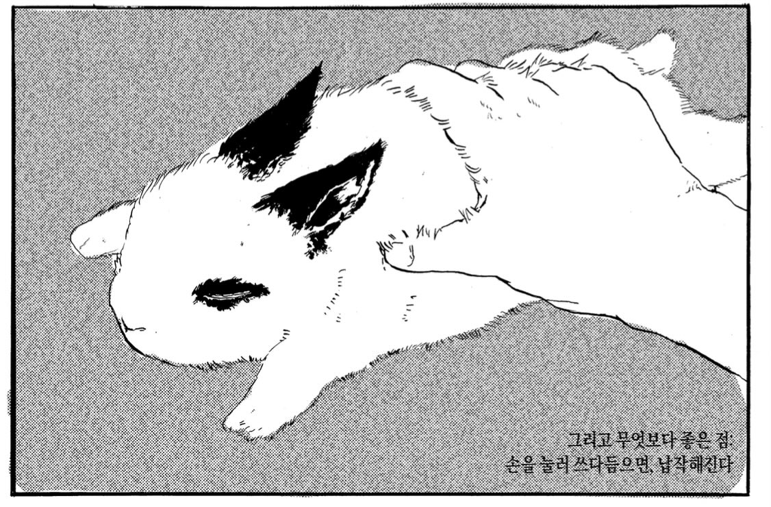 y_y9_9_'s tweet photo. 칸새에서 판매했던 Run Bunny Run의 선공개북 통신판매 폼입니다…🐰

일단 일주일동안으로 기간을 정해놨습니다만 재고 소진시까지 진행할 것 같습니다^_^
(온라인 공개도 예정되어있습니다)

https://t.co/DXnpo2ILbc https://t.co/XaWm5zvpR8