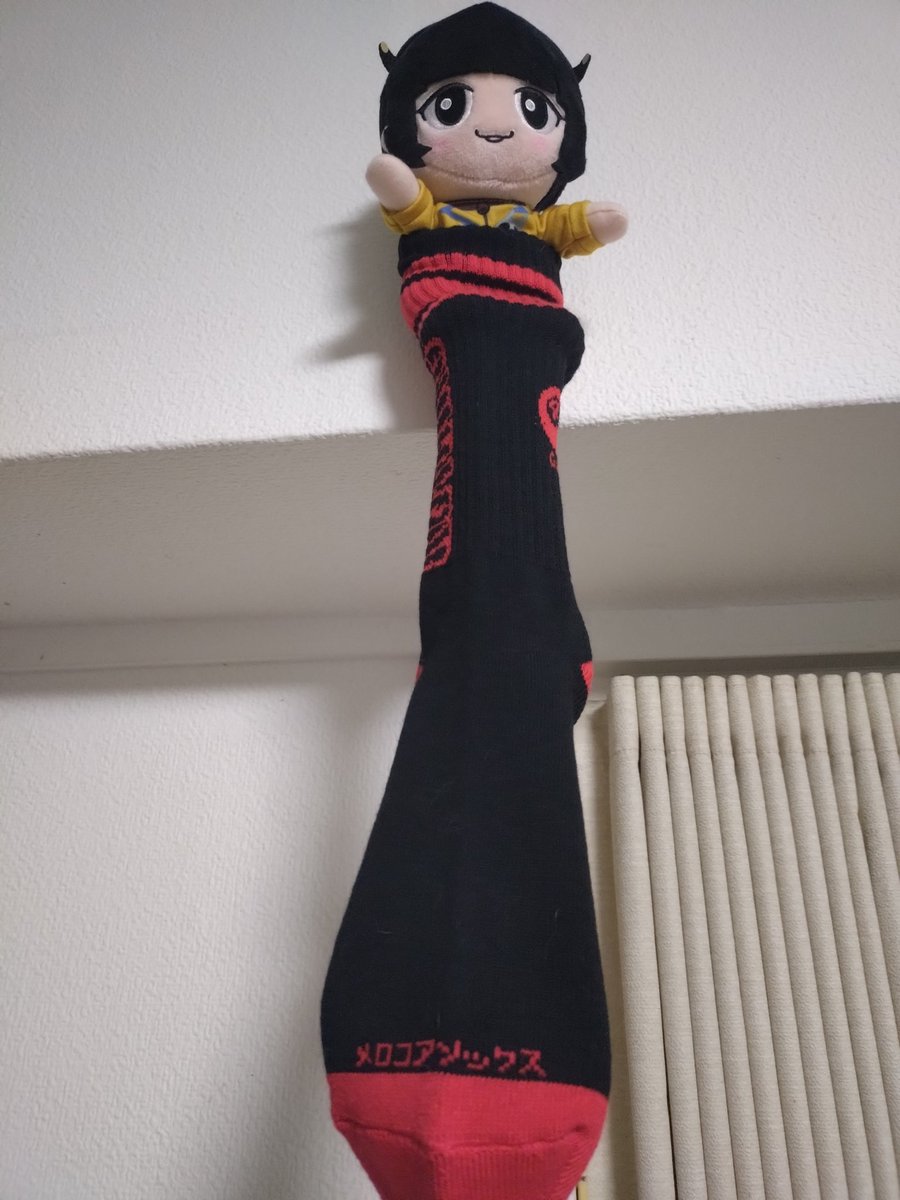 horasanba's tweet photo. ロコとグッフォの
2バンドで音源を作って
HANGOVER TOUR
越谷編
なんでこのツアー6か所しかないの?
もっとたくさんの人達にみてもらいたいと思うぐらい 
どこの時間を切り取っても楽しすぎる
ツアーTシャツ売り切れたから
グッフォの靴下買ってあのちゃんに履かせたのだ

#locofrank
#GOOD4NOTHING https://t.co/DrvdodDNzk