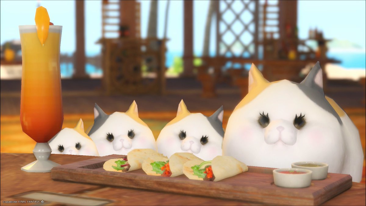 ff14_ridere's tweet photo. いっぱい来た🌮🐈🐈🐈🐈                     （※コラ画像） https://t.co/rjCuP0jD1s