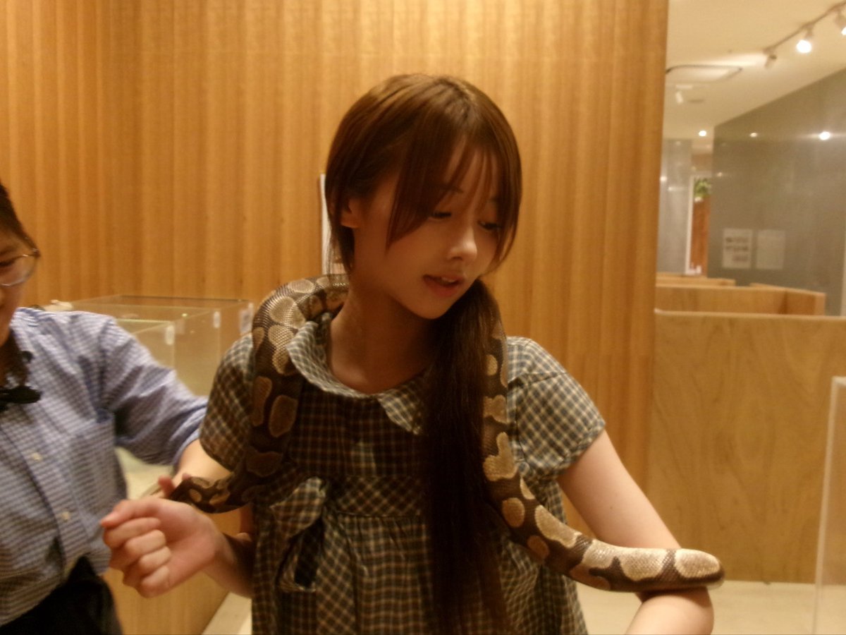 heterodoxxxy's tweet photo. 令和の徳川綱吉♩ https://t.co/Evr14Xy6R7