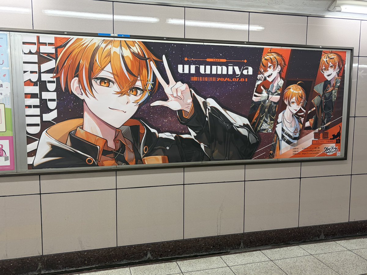 hana51701's tweet photo. 🐈🐾🧡 https://t.co/84HBdgAf3D