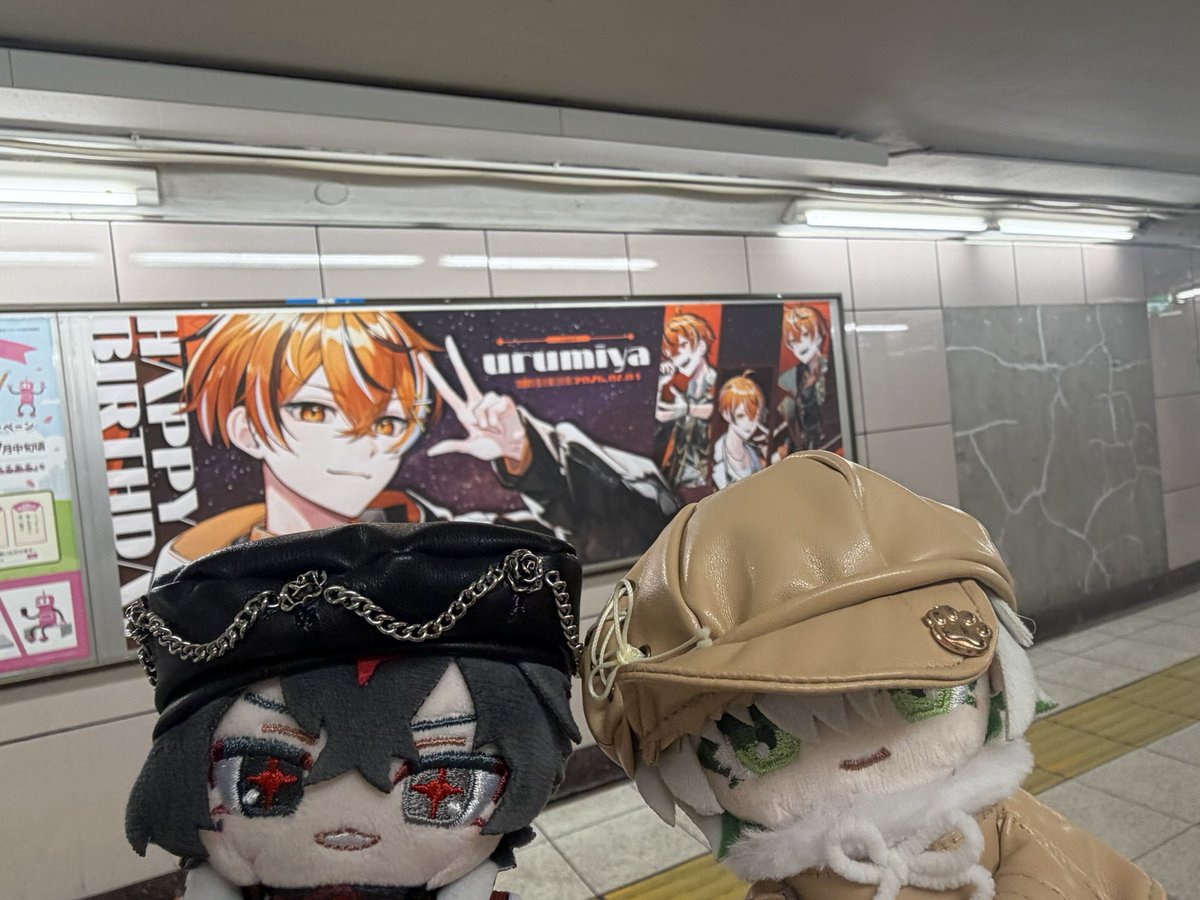 hana51701's tweet photo. 🐈🐾🧡 https://t.co/84HBdgAf3D