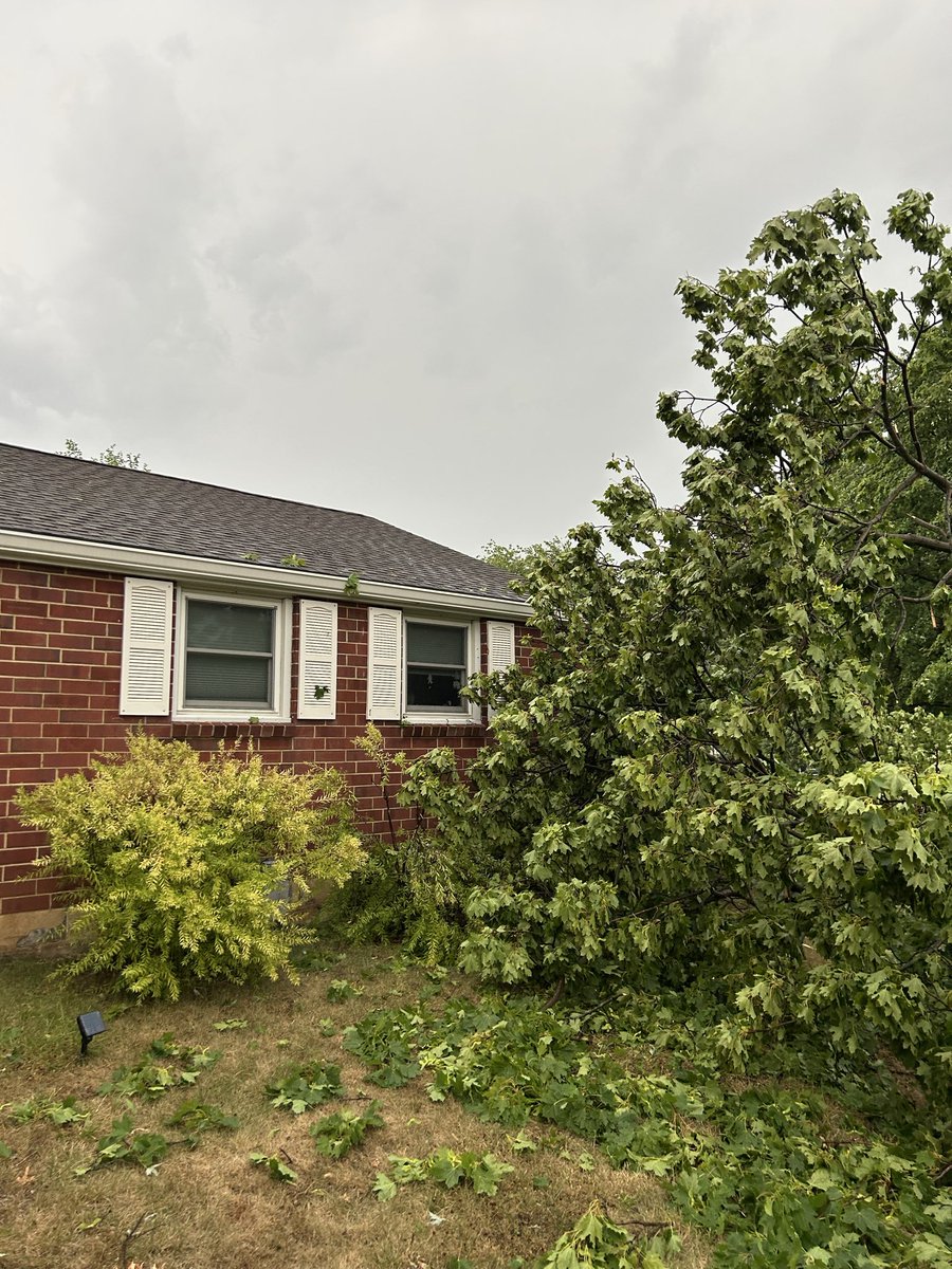 r_mesure's tweet photo. @WGAL I live just off Trindle Road in Mechanicsburg. That had to have been a tornado that came through here we have so many trees down in our development. https://t.co/rVj39F1yXE