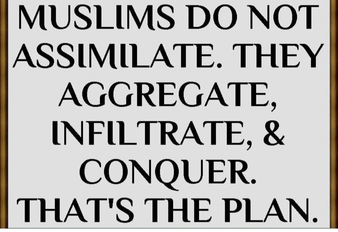 RoyR 🏴 ✝️🇬🇧 🫡 RESTORE BRITAIN+ tweet media
