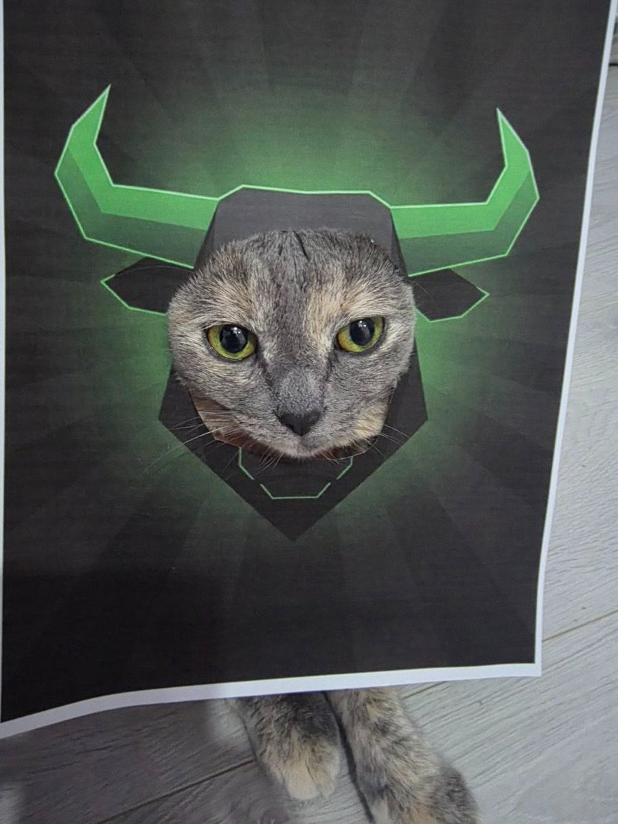 JstElizabethCat's tweet photo. @blknoiz06 Ansem, doesn't this cat deserve the airdrop too? We can do charity with the airdrop! https://t.co/E7n87wwFQQ