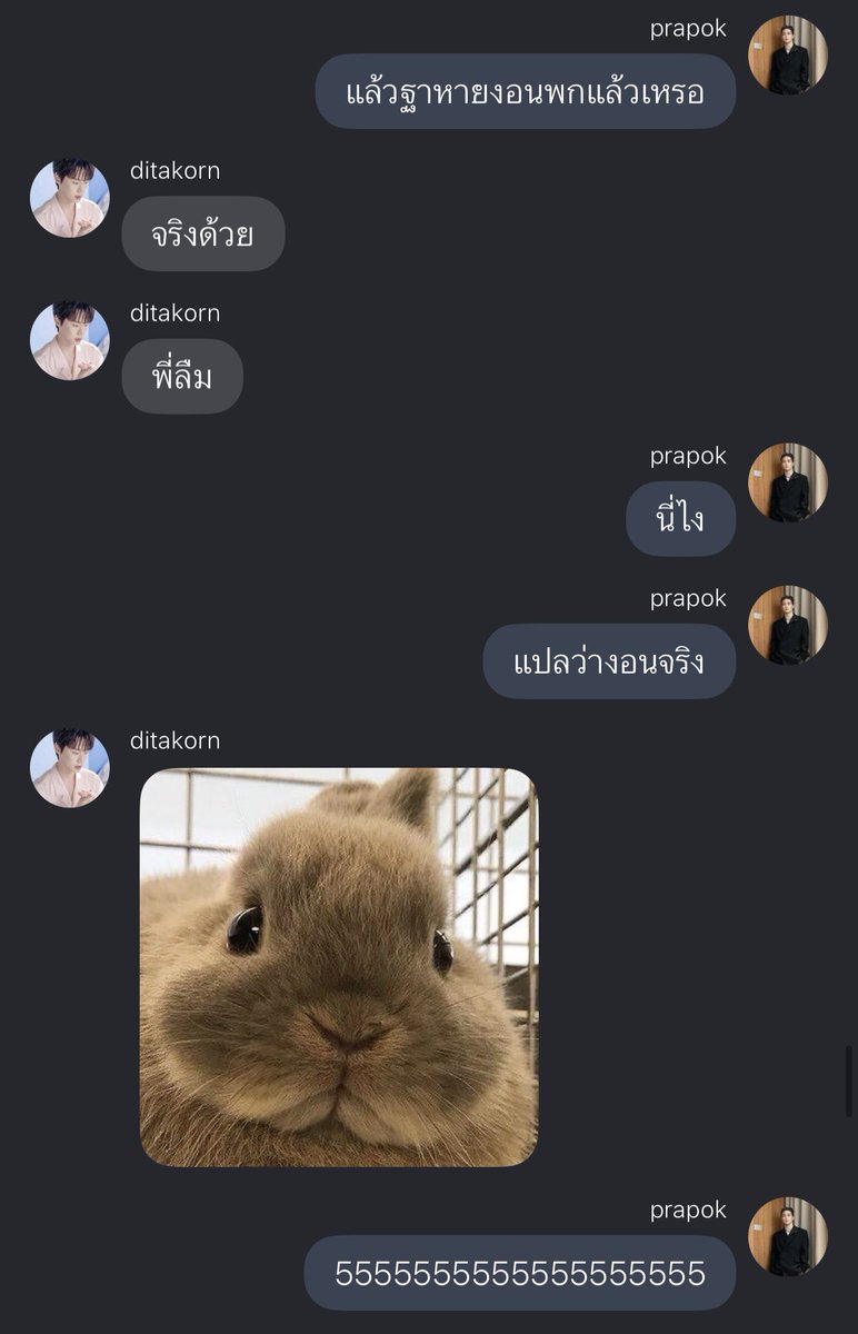 ywonderr's tweet photo. From #ตลอดไฟjd                       To #ตลอดศกjd

#.ท้ายอัศวภัทร งอนแบบกระต่ายกับลูกแมว 😽 https://t.co/QsHw2R37mh