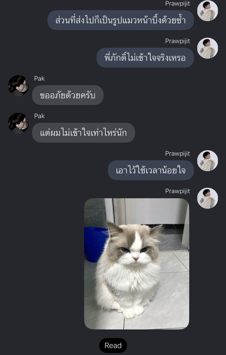ywonderr's tweet photo. From #ตลอดไฟjd                       To #ตลอดศกjd

#.ท้ายอัศวภัทร งอนแบบกระต่ายกับลูกแมว 😽 https://t.co/QsHw2R37mh