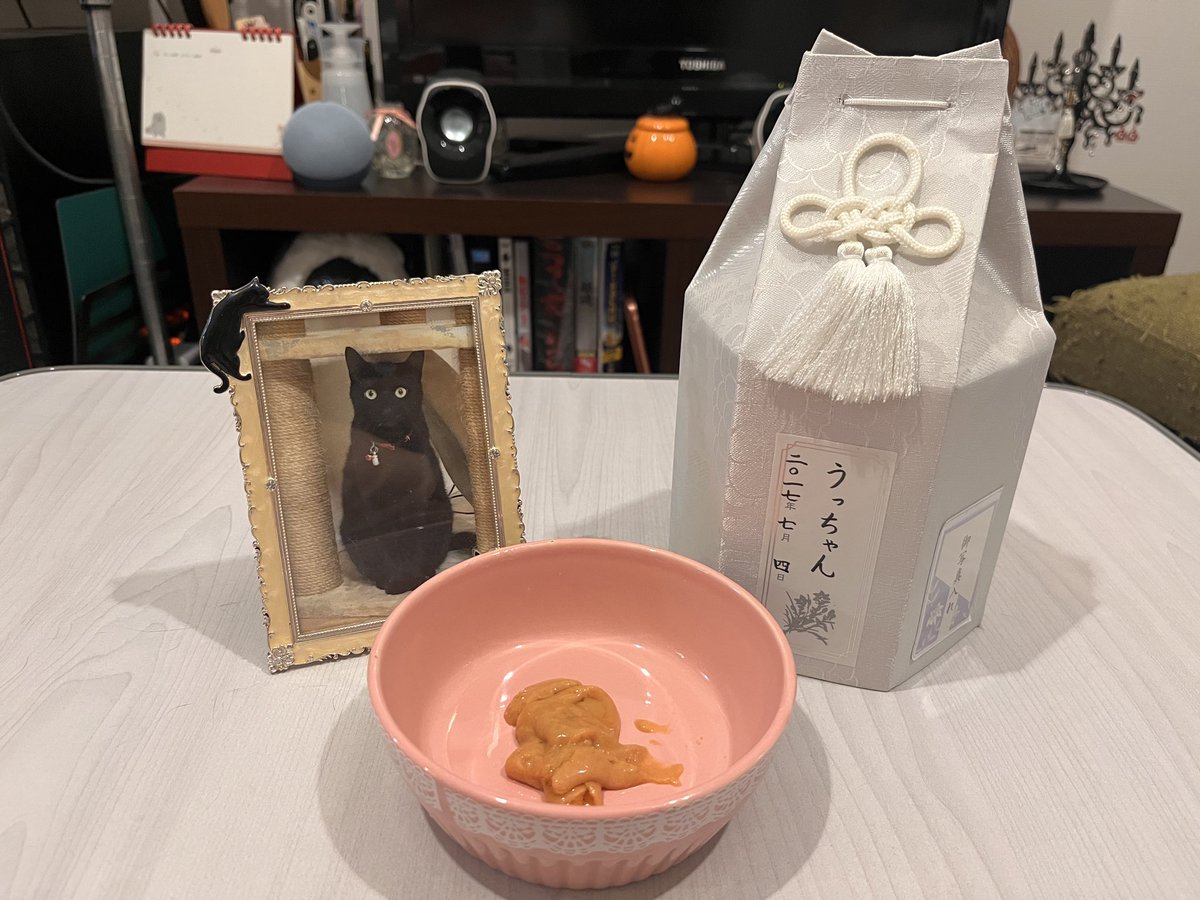 SYOUKO_K's tweet photo. 今年もうっちゃんの命日です。
昨日でしたが。
もう10年近くになるんやなぁ。

今は黒猫ちゃん2匹と暮らしていますが、最近よくマーキング？されます。
うっちゃん教えてあげてよ(´;ω;`) https://t.co/sMnyllQWbp