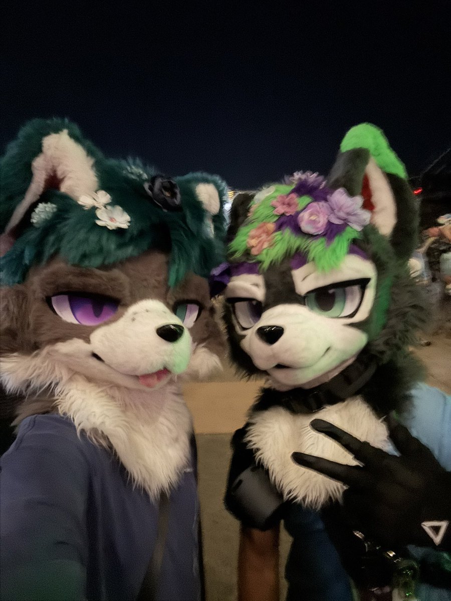 graviidywolf's tweet photo. Suit Sibling Twin @FrizkFur 💜💚 https://t.co/prz4rro9TI
