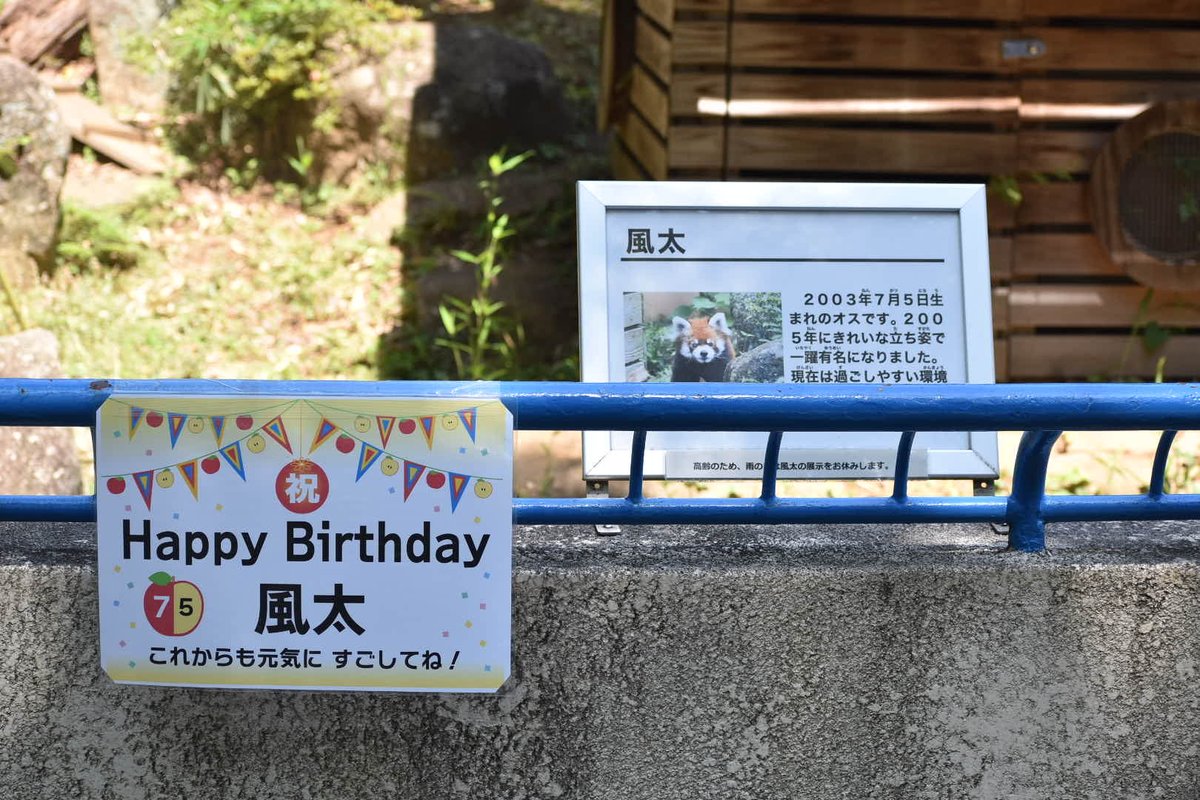 ㊗️🎉風太さん23歳のお誕生日おめでとうございます