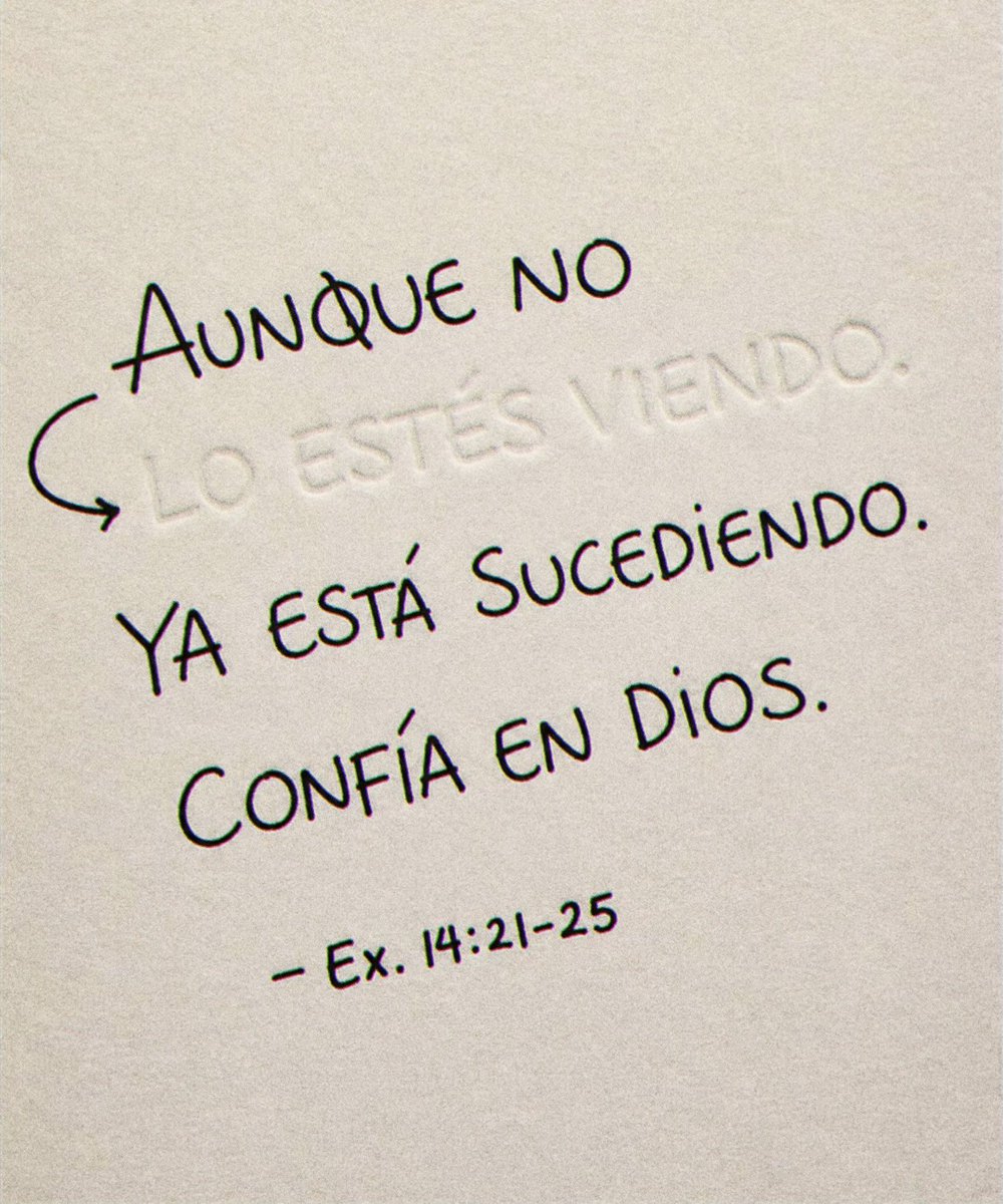 gonzabrizuela96's tweet photo. https://t.co/wE5MDJGELT