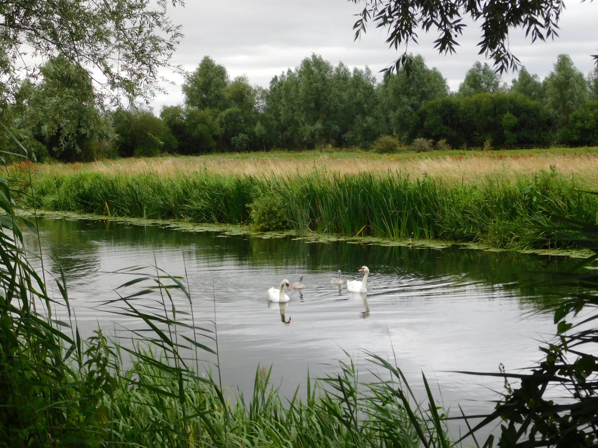 rrabnif's tweet photo. Walking from Oundle by the River Nene. https://t.co/leBorBPLON