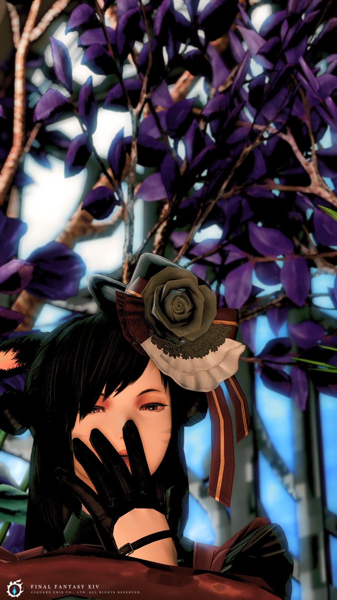 mikansalt's tweet photo. #薄明館GothicLounge
ゴシックめちゃかわいい https://t.co/EAh3ngDCi7