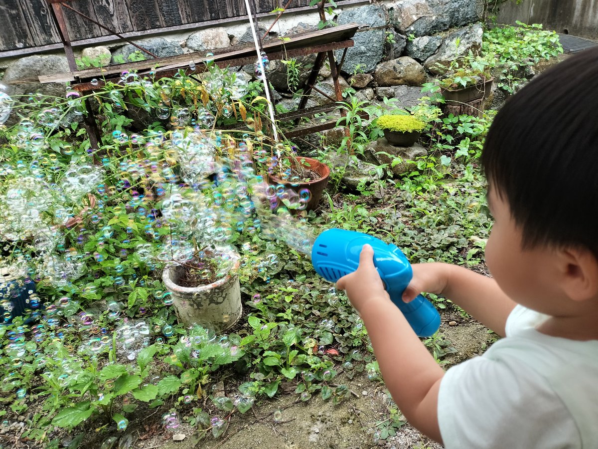 RR12_hf's tweet photo. 湿気か降雨の影響で割れないシャボン玉を草木に乱射する長男。 https://t.co/v0BThbK2TC
