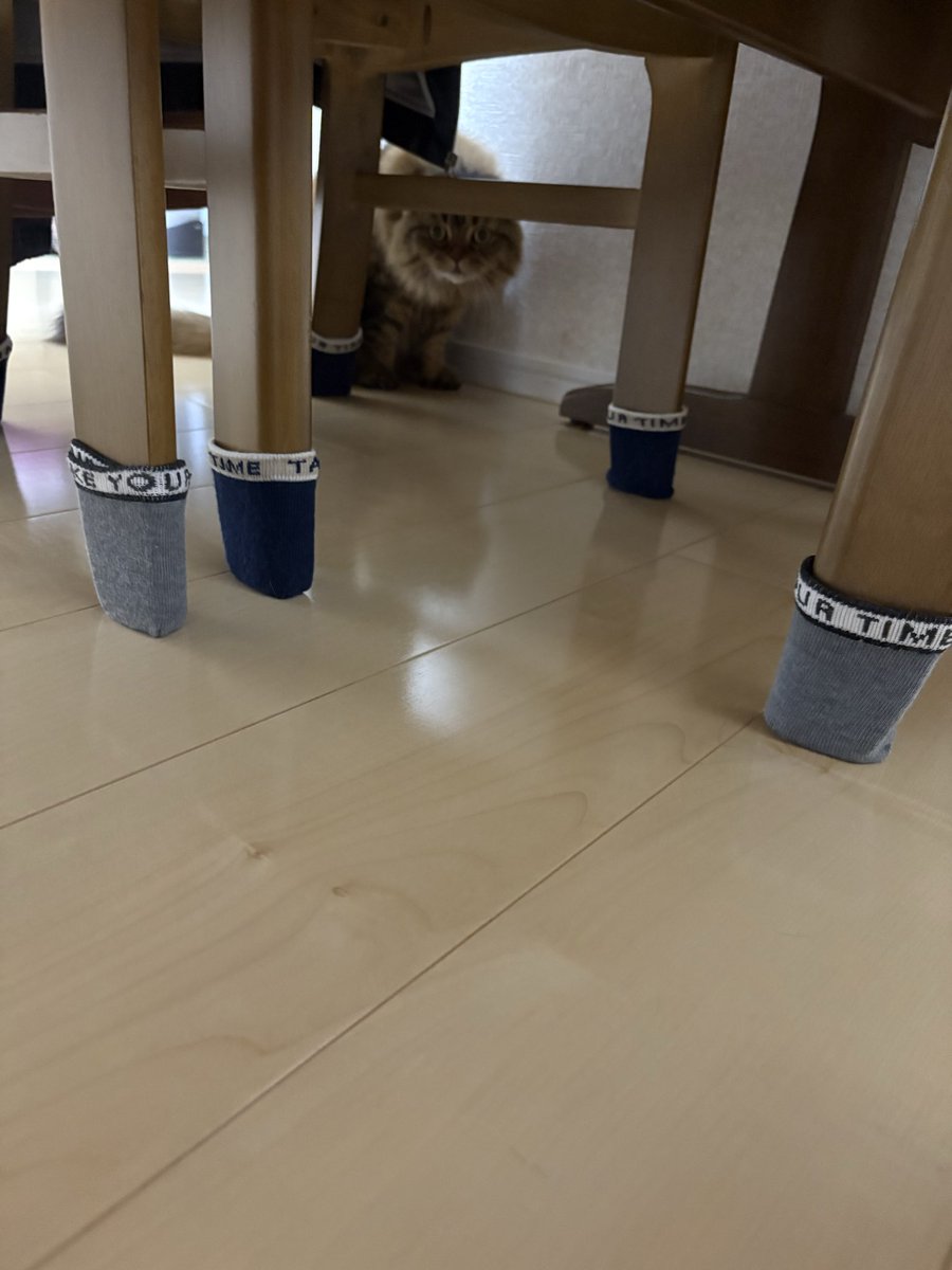 shito_sa's tweet photo. さすがに覚えてくれよ2年一緒にサシで住んでたやん https://t.co/5qP8cctzlP