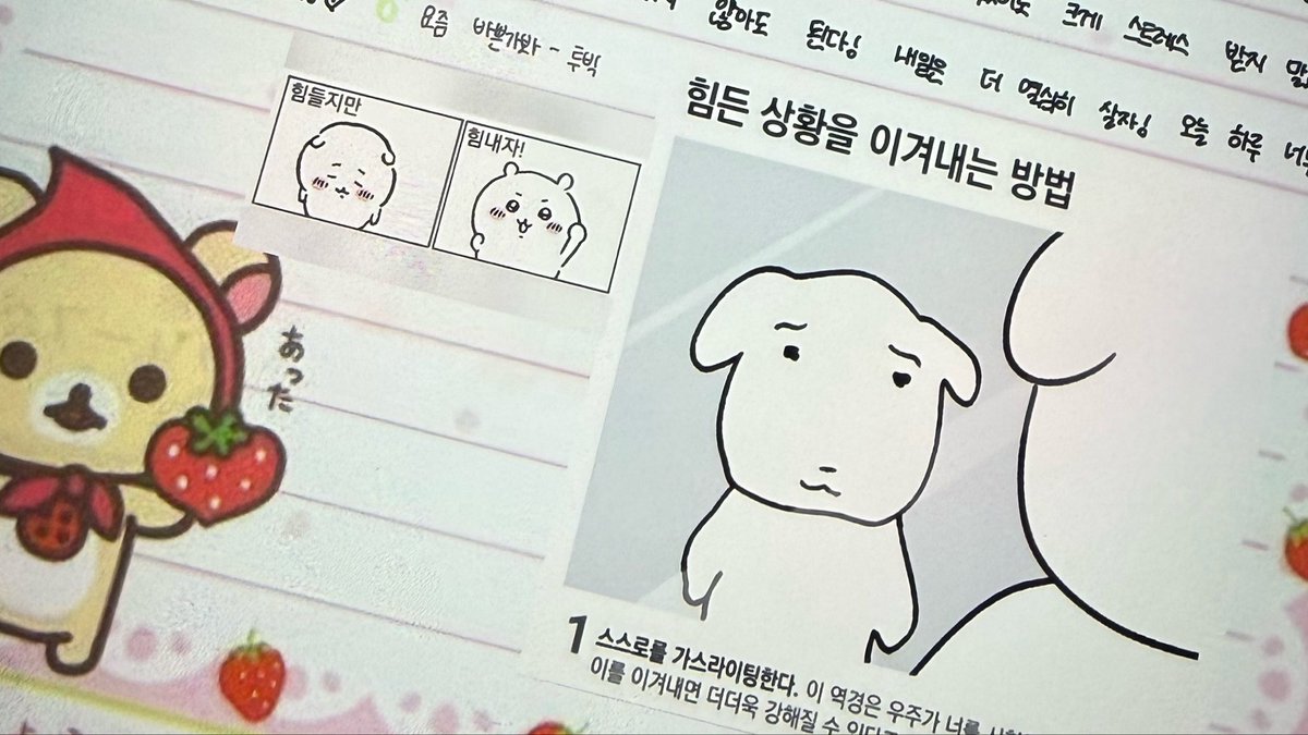 앙이 tweet media
