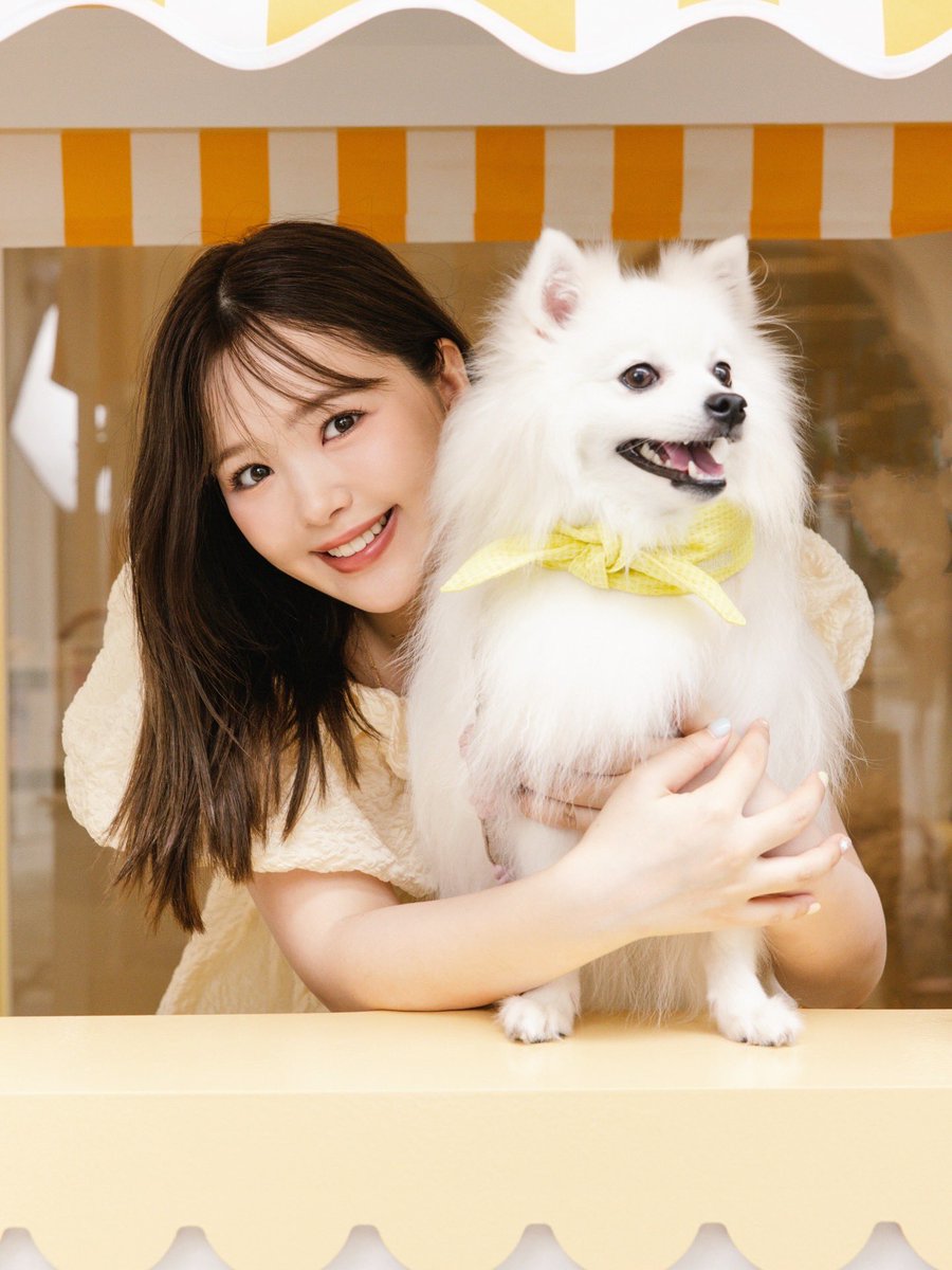 0220nicole's tweet photo. 愛犬ユキ♡

日本スピッツの女の子です🐶🎀 https://t.co/nK7ZrpkXFT