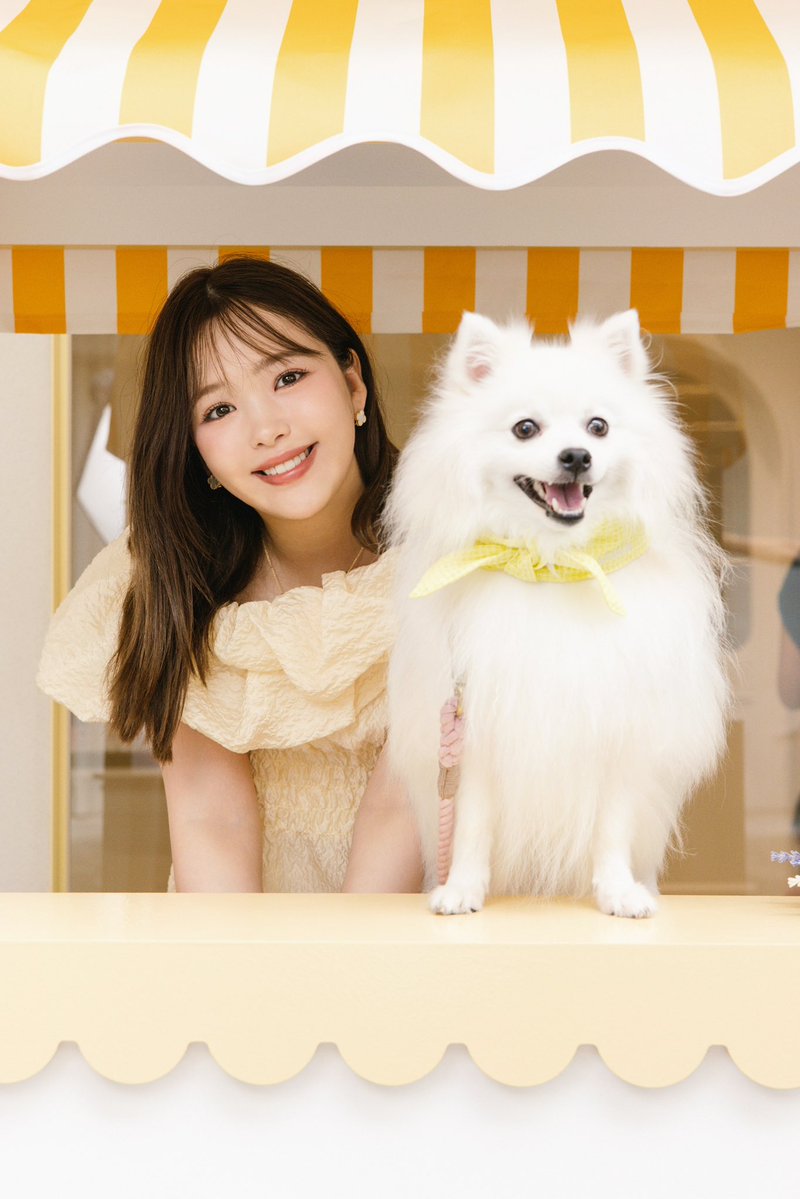 0220nicole's tweet photo. 愛犬ユキ♡

日本スピッツの女の子です🐶🎀 https://t.co/nK7ZrpkXFT