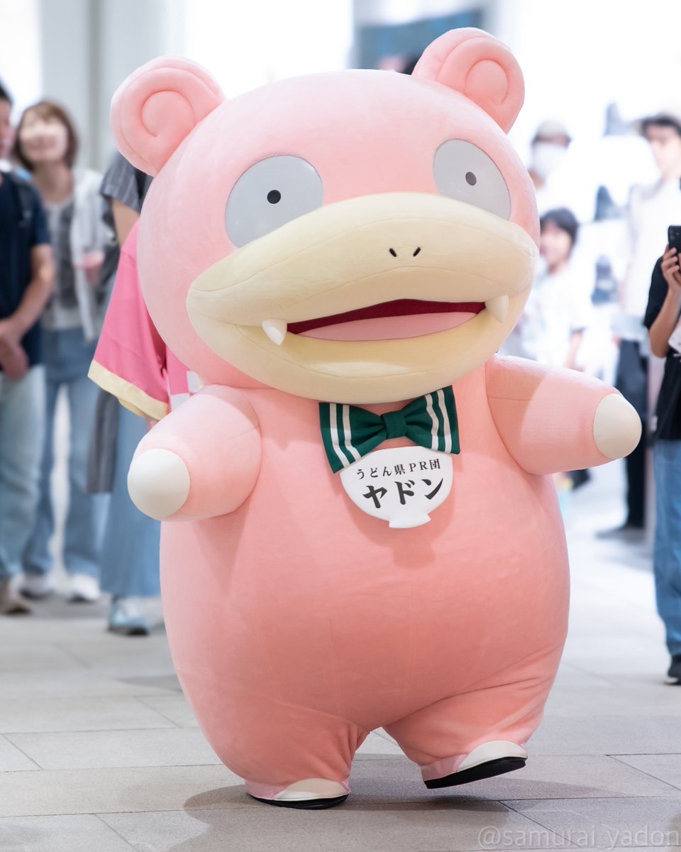 ヤドン