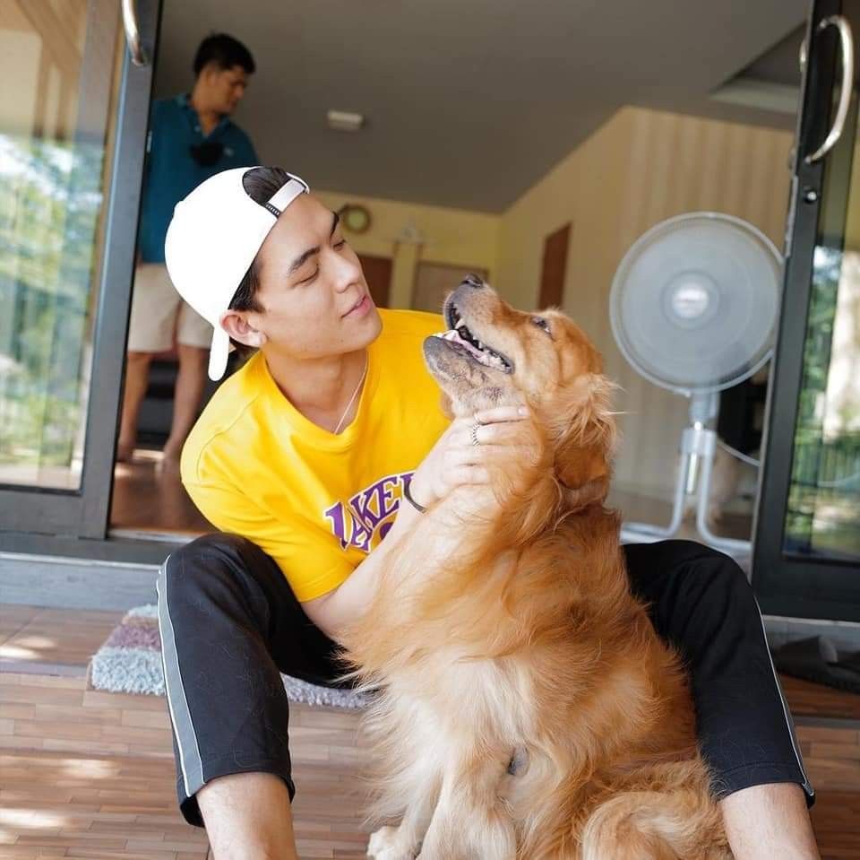 caskeyscat's tweet photo. Joss and Captain 🐕😍

#JossWayar https://t.co/0e5soTB9cy