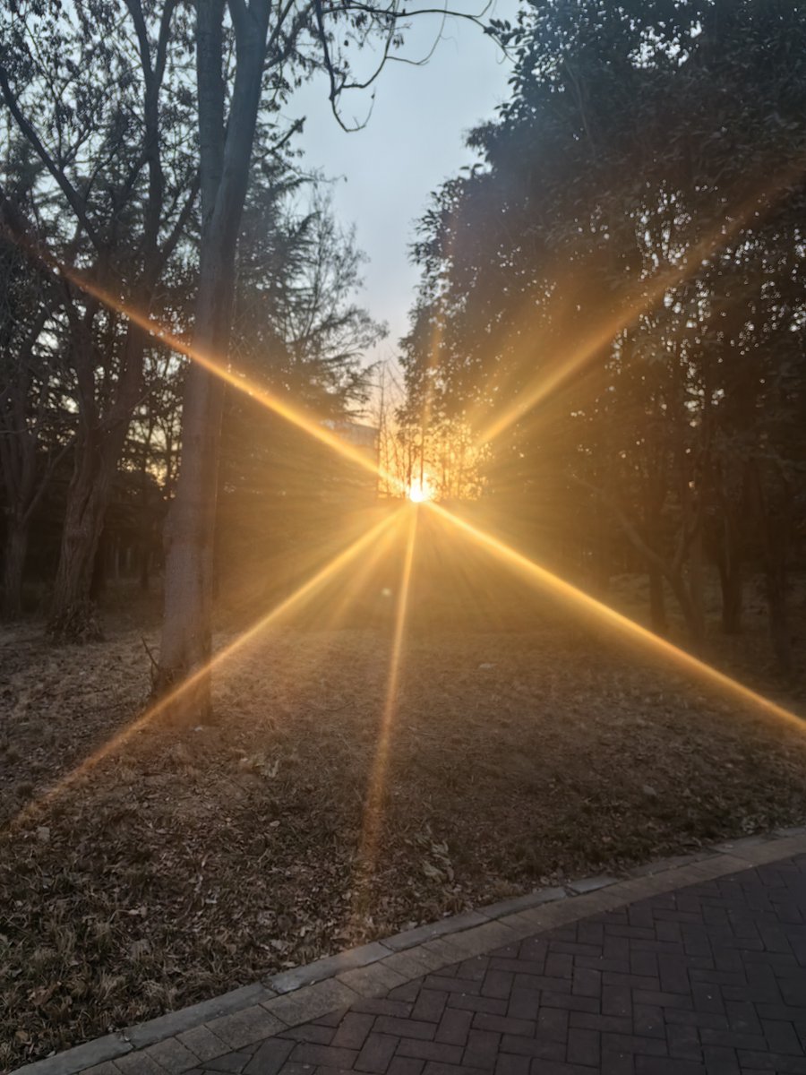 115happiness's tweet photo. New to photography Start with mastering natural light—golden hour (1hr after sunrise/before sunset) makes every shot warm u0026 flattering. No fancy gear needed, just your phone! https://t.co/zPozrQzXU3