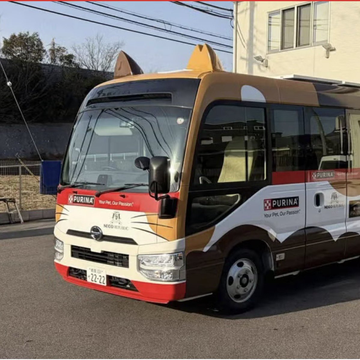 はじめて「#ネコのバス」を見たのは2019年8月のこと。思いっきりあの