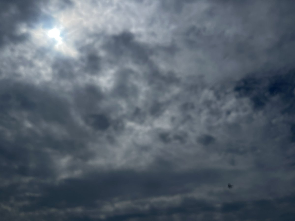 kurom3owz's tweet photo. cloudy foggy transgender beach day https://t.co/iVwREYr5yx