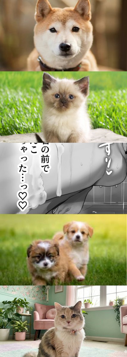 mitnick__'s tweet photo. 姉と交わった日
1/10 https://t.co/EcUqzHogym