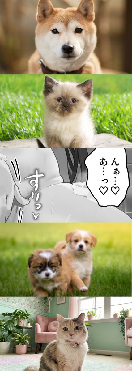 mitnick__'s tweet photo. 姉と交わった日
1/10 https://t.co/EcUqzHogym
