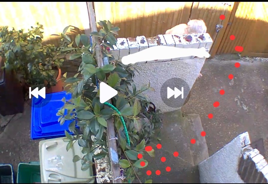 ActOnStalkers's tweet photo. The #stalker prowls this private area upto ten times every hour. To put this in perspective we enter the same area twice a week to put rubbish in our dustbin. The #stalker has absolutely no reason to be in this area other than to #stalk. She is unrelenting and will never stop https://t.co/TMrZQEk1Qf
