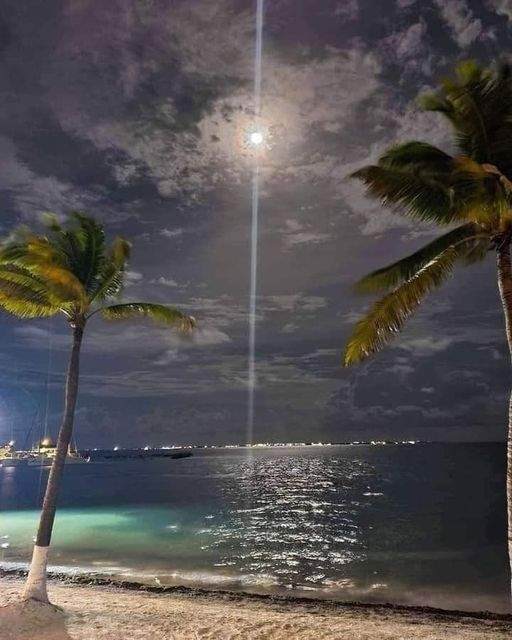 GroupLar's tweet photo. Necesito una noche en la orilla de la playa...  ♥🌊 https://t.co/s5H5aCJpyK