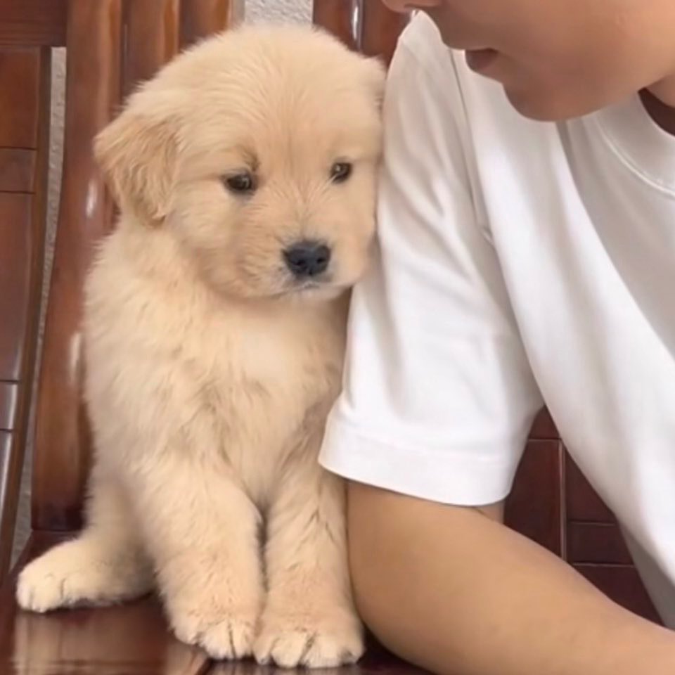 staywithharit's tweet photo. บ้อกแบ้กของเทอคนเดวคับ https://t.co/psDRapC8XX