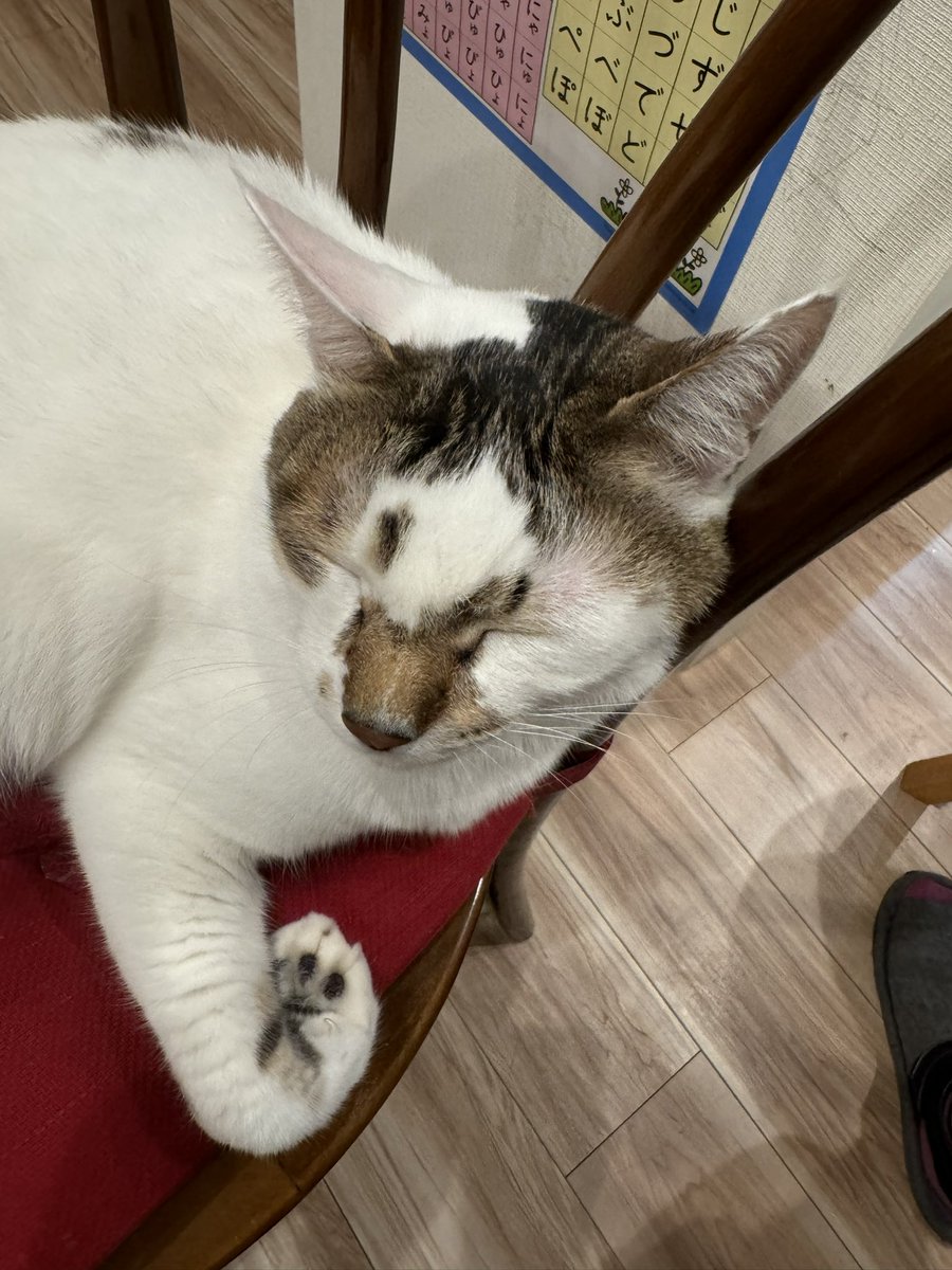 genbokushitake's tweet photo. 腕どうなってるのよ https://t.co/8KY73AusP6