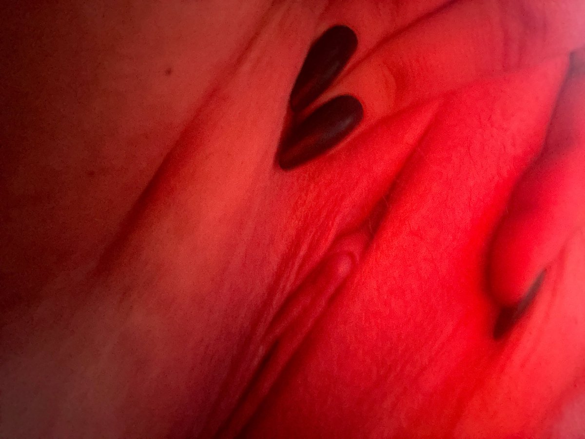 GoddessThea05's tweet photo. 🤭🤭
#nsfw #nsfwtwt #virgin https://t.co/JD58erUgdn
