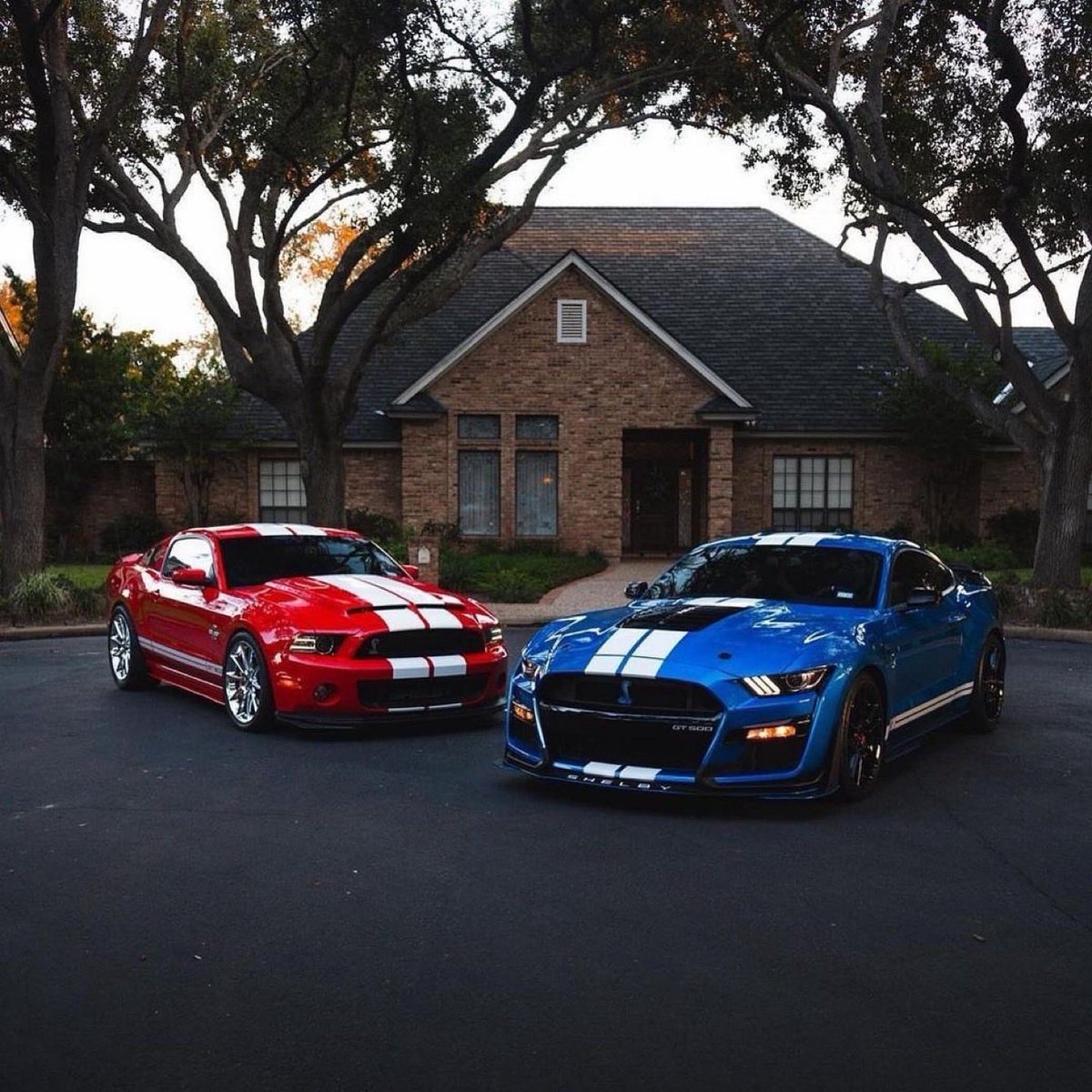 Cobra3dD's tweet photo. “ Shelby Sunday “  ❤️🤍💙 https://t.co/vifIc9me3r