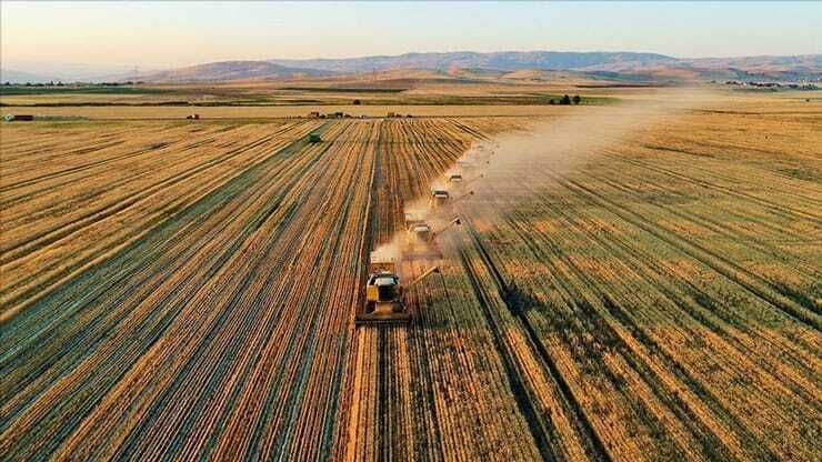 TZOB Başkanı Duyurdu: Yılın İlk Yarısında 900 Bin Dekar Tarım Alanı Zarar Gördü