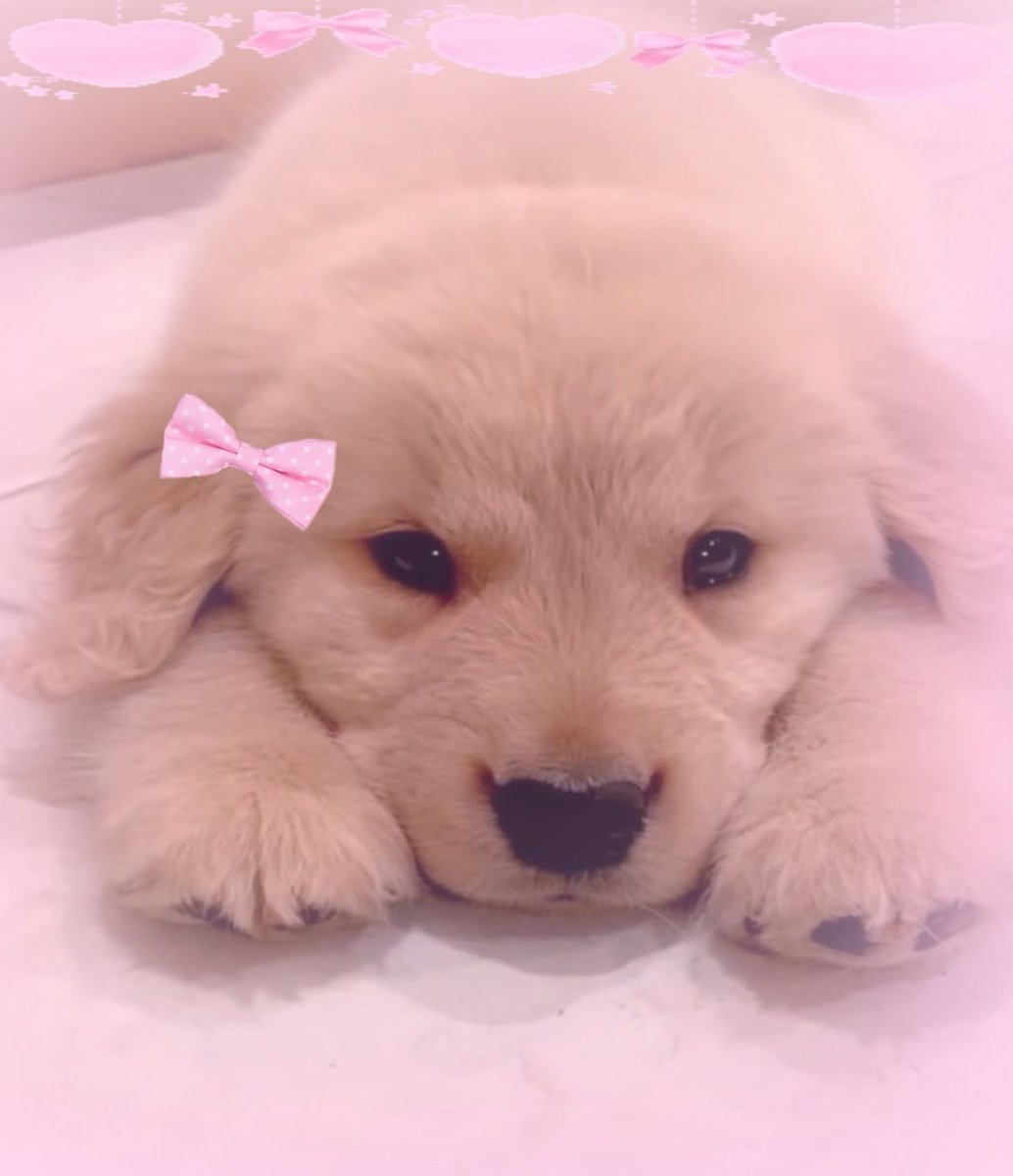 littlebatvampie's tweet photo. “oh my poor baby :(“

I WILL CRY RIGHT NOW https://t.co/z7NHJF6Ed2