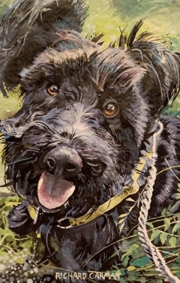 SpamAyres's tweet photo. Black Dogs We Have Painted #4
This is George, painted in #acrylics. George is no longer with us sadly, but I loved painting this bundle of black fun. #dogs #dogslife #dogpainting #dogslove #scotties #terriers #SundayGroove https://t.co/eSPkVR5QlS