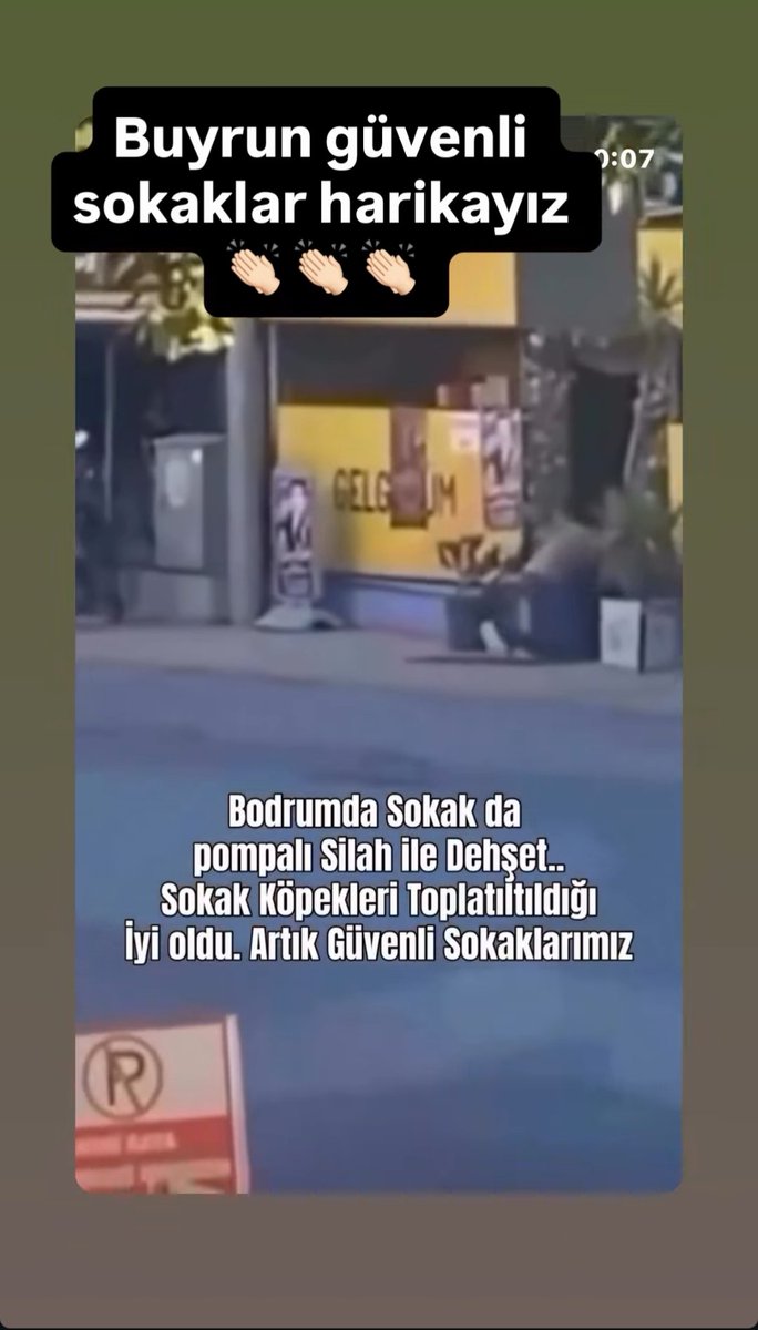 SelmaKilinc3's tweet photo. Sokakta ki gariplere dil uzatanlar gözünüze sokun bunu. Sokak masumları kısırlaştırma yapılır üreme kontrol altına alınır. Yerine bırakılır. Sokağından koparılan her canın ahı yeri göğü birbirine katacak bekleyin siz https://t.co/lw3ywLmQM4